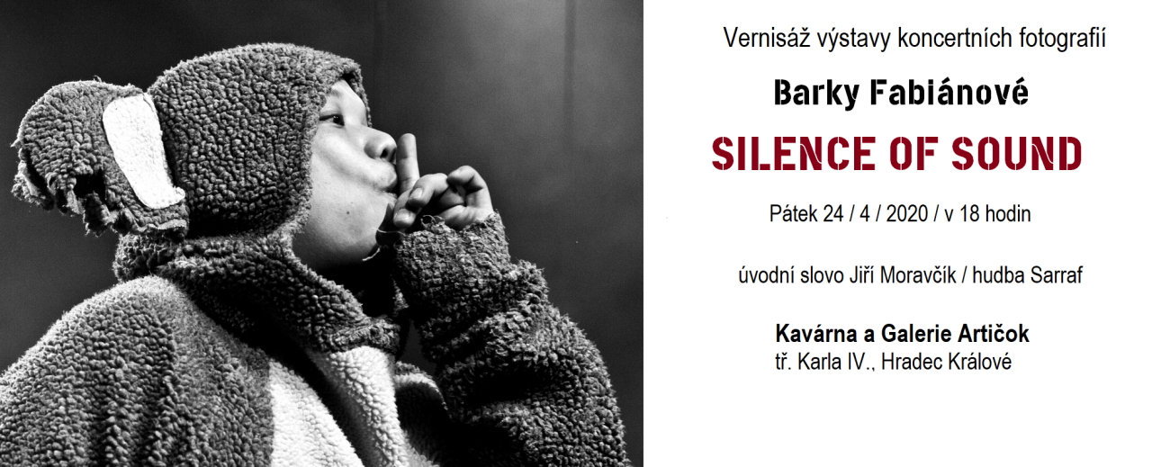 Barka Fabiánová / SILENCE OF SOUND